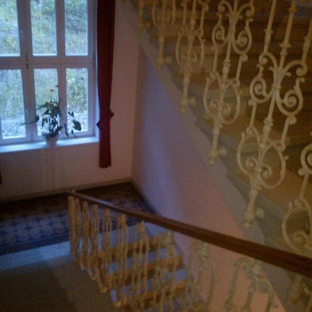 Pension Villa Anita Mariánské Lázně Extérieur photo